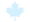 Maple Leaf